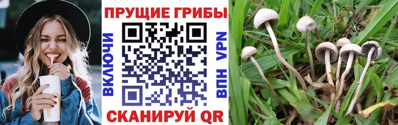 Псилоцибиновые грибы мицелий  KRAKEN онион  Любань 